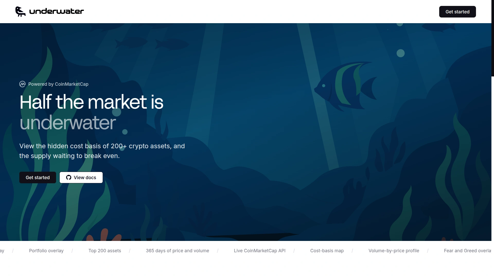 The Underwater landing page: half the market is underwater